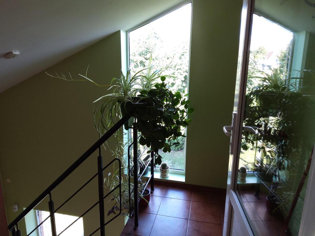 Apartamentai Geguciu Gatveje Klaipeda Exterior photo